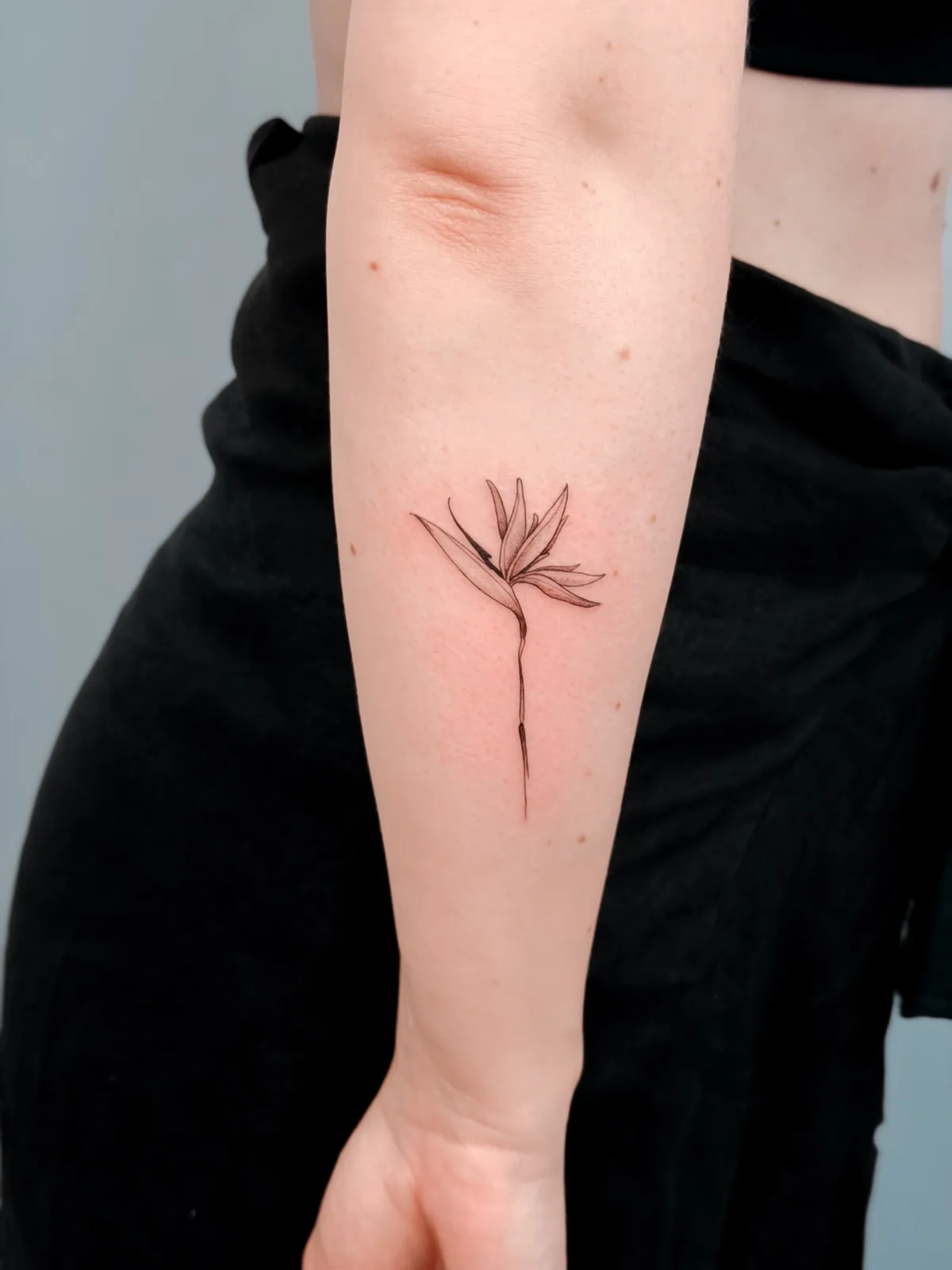 Fine line bird of paradise flower — tattoo by Hugo Gonzalez, Funchal, Madeira