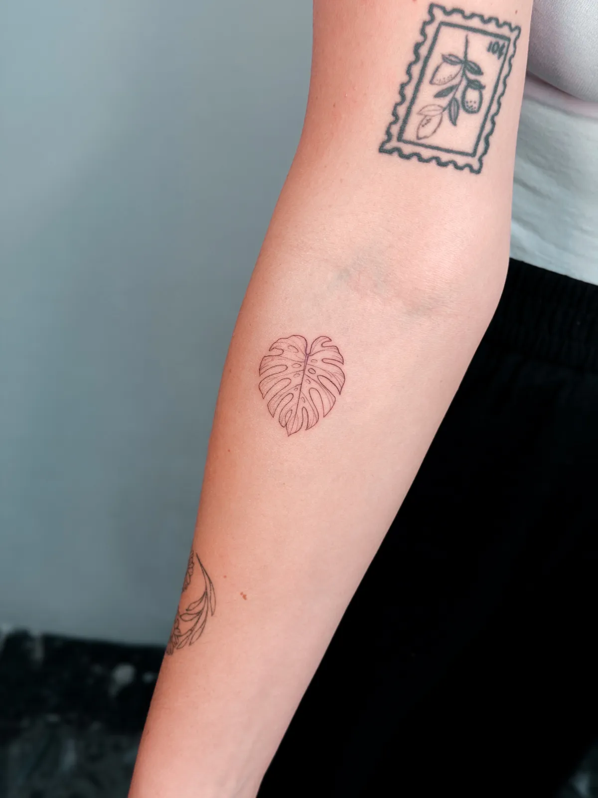 Fine line monstera leaf and botanical postage stamp by Hugo Gonzalez